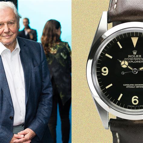 attenborough's rolex explorer